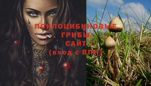 трава Касимов